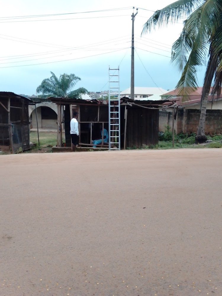 Iyana Camp photo 2